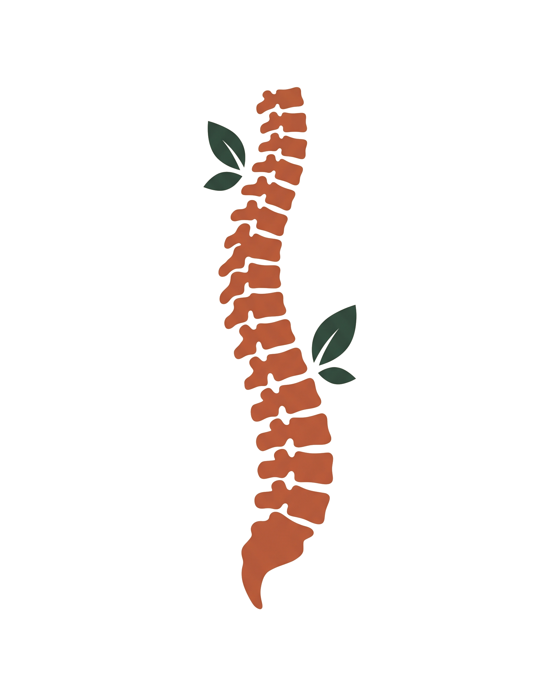 Flat illustration of a healthy aligned spine with small leaf accents